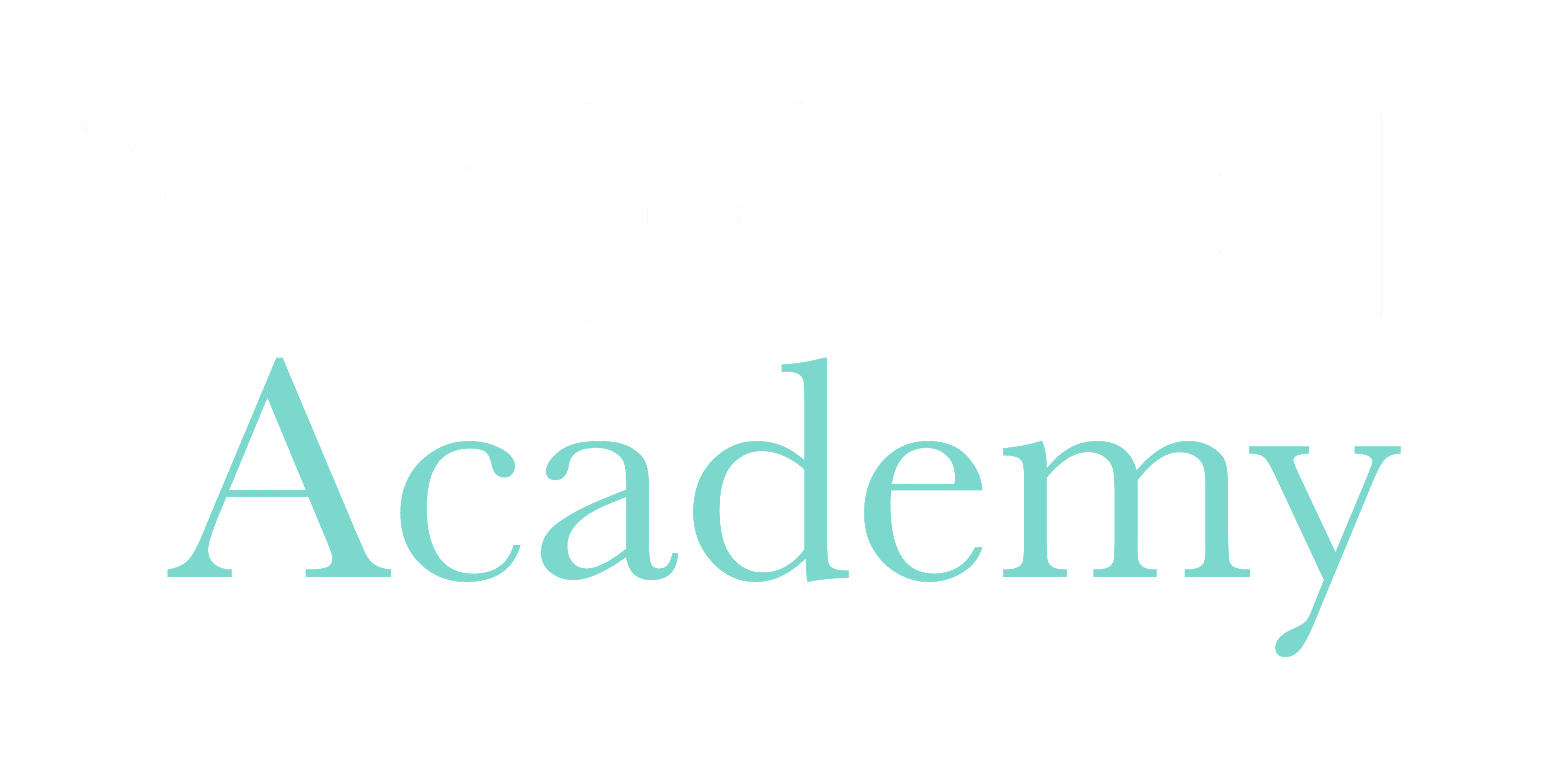 VPocket Academy